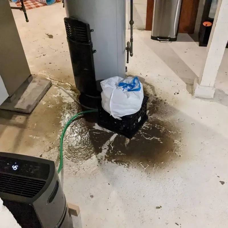 Sewage Backup Cleanup Service in Hazlehurst, MS